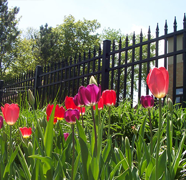 Fencing & Railing